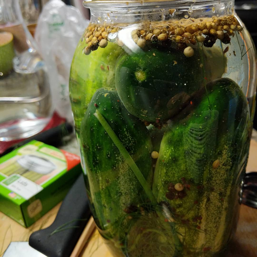 Fermenting pickles